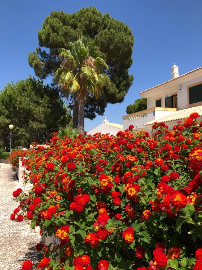 Algarve Albufeira, Quiet Apart With Pool At 10 Mn Walk From Praia Da Falesia Olhos de Agua  Ngoại thất bức ảnh